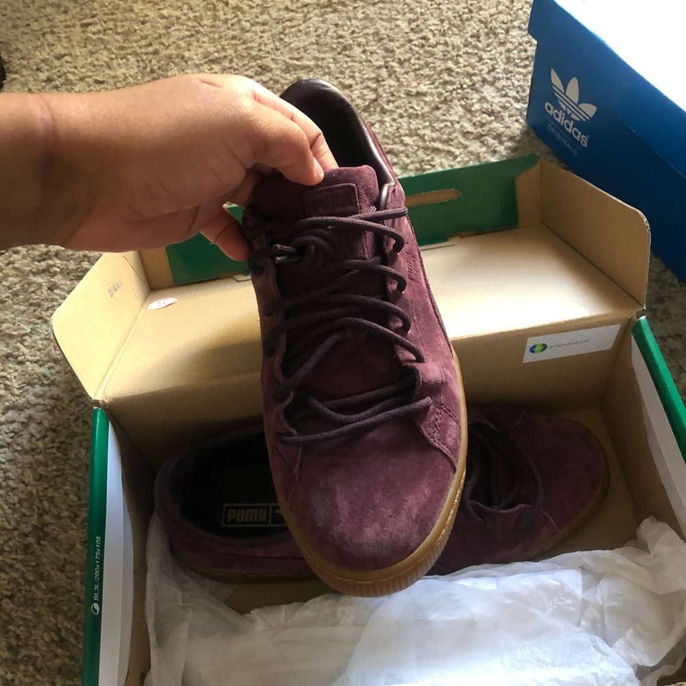 Pumas - Picture 2 of 4